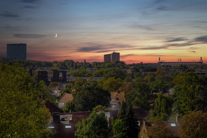 Photo 28 of IJsvogelpassage 37