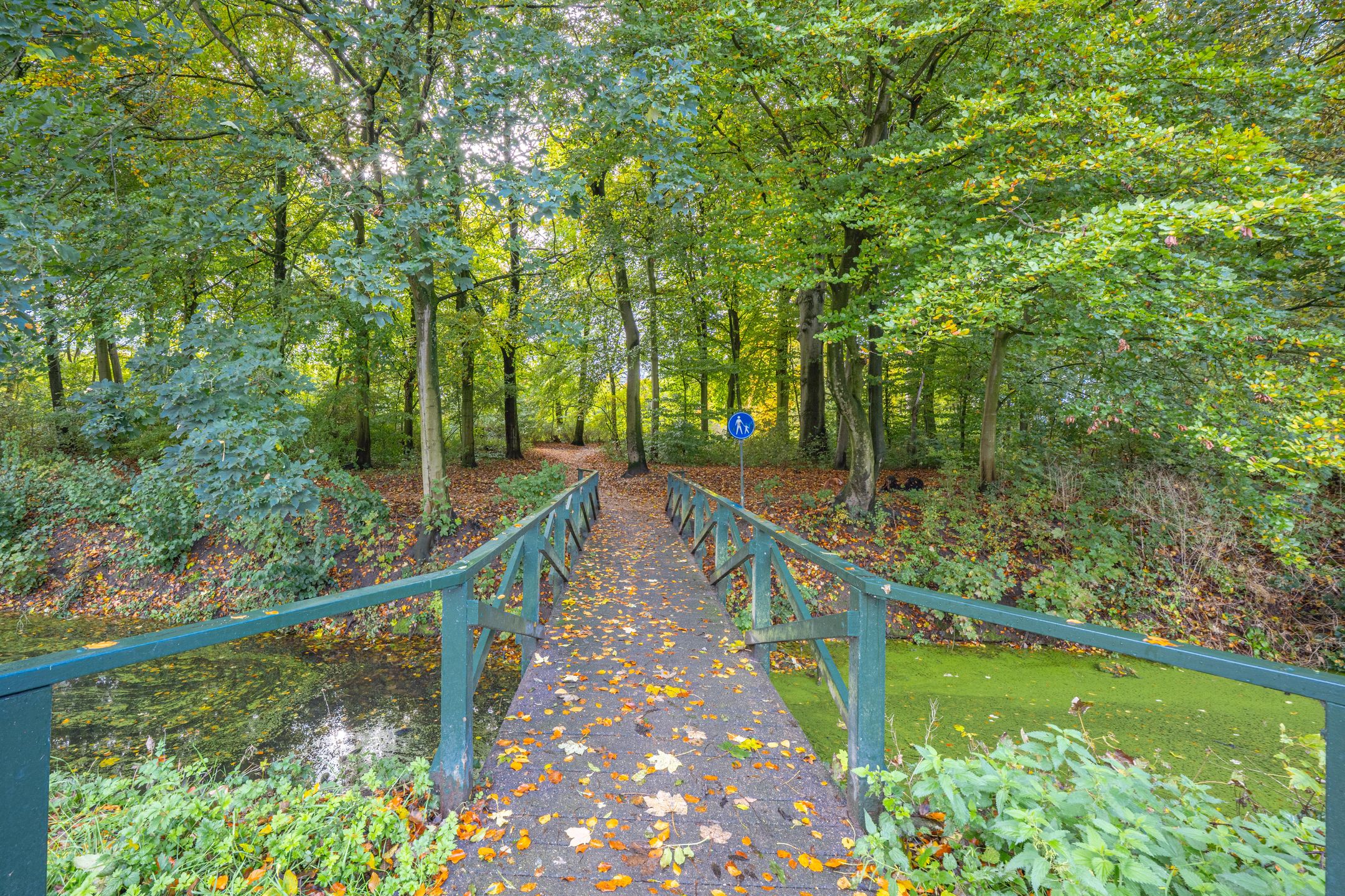 Foto 57 van Julianalaan 4