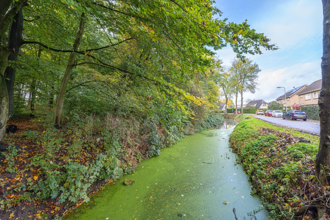 Foto 58 van Julianalaan 4