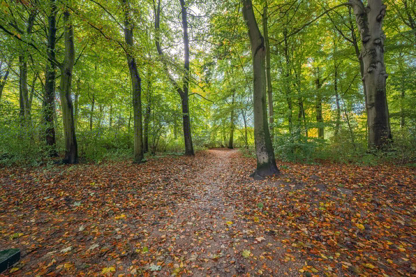 Foto 59 van Julianalaan 4