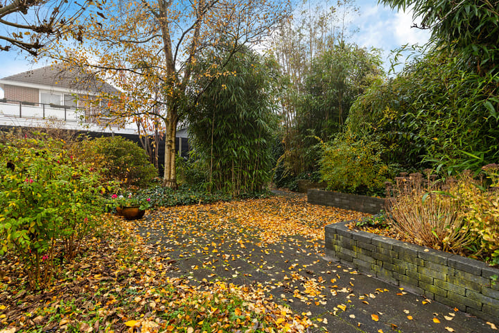 Photo 40 of Anna Blamanstraat 60