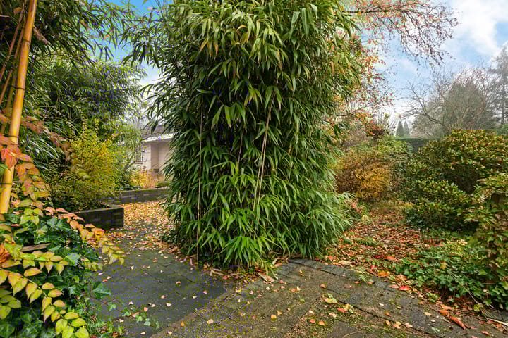 Photo 41 of Anna Blamanstraat 60