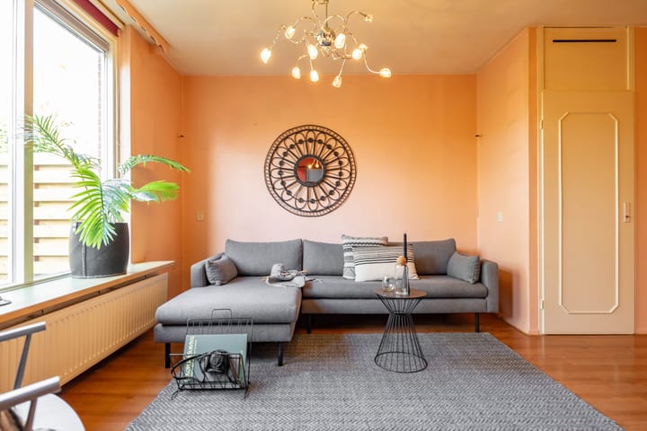 Photo 9 of Amkemaheerd 267