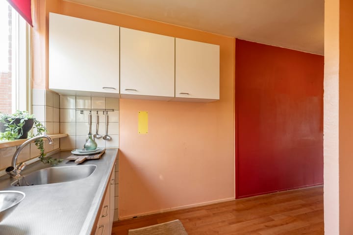 Photo 15 of Amkemaheerd 267