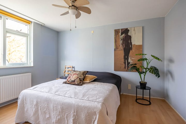 Photo 20 of Amkemaheerd 267