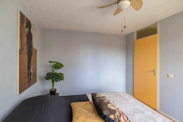 Photo 22 of Amkemaheerd 267