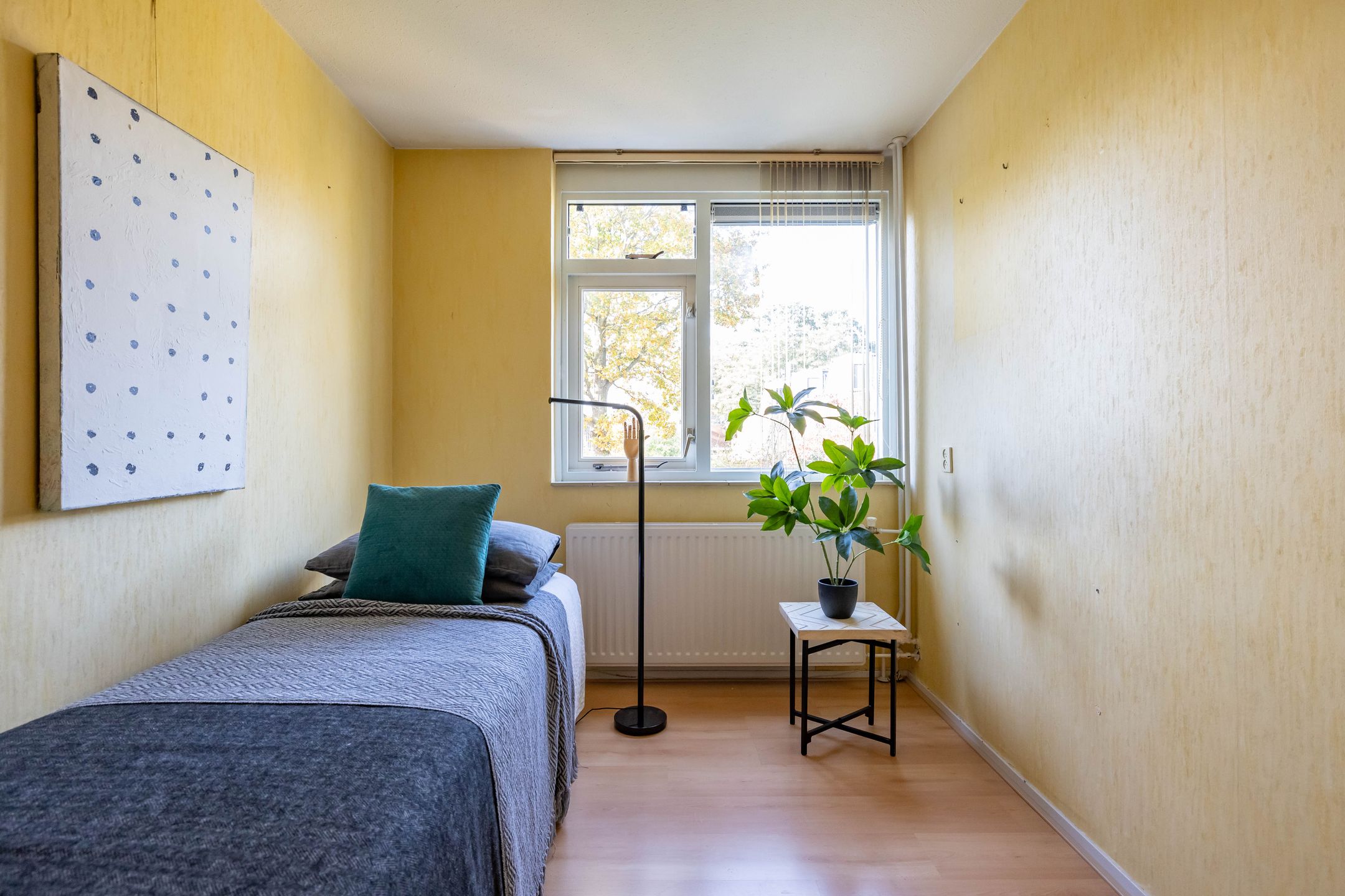 Foto 24 van Amkemaheerd 267