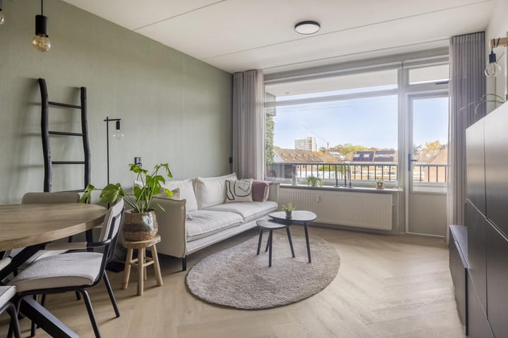 Foto 2 van Penningkruid 12