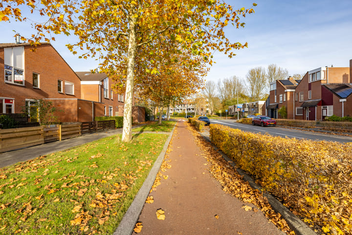 Photo 45 of Amkemaheerd 267