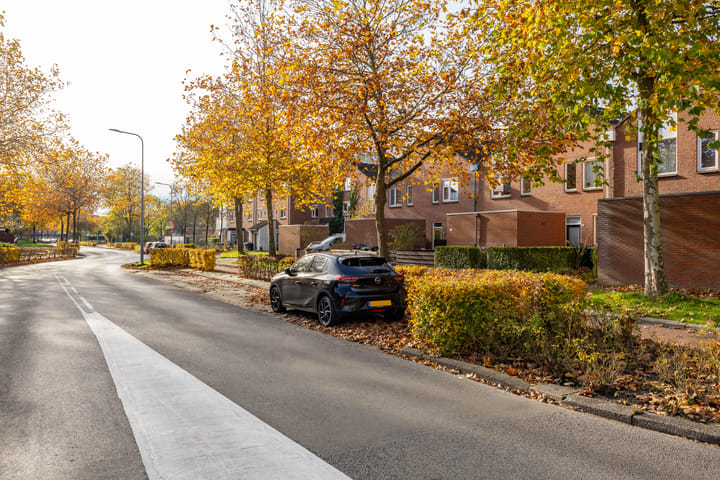 Photo 46 of Amkemaheerd 267