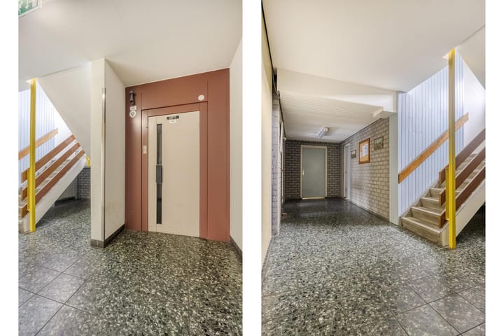 Foto 18 van Penningkruid 12