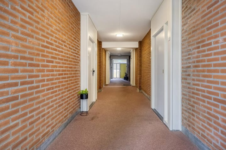 Foto 19 van Penningkruid 12