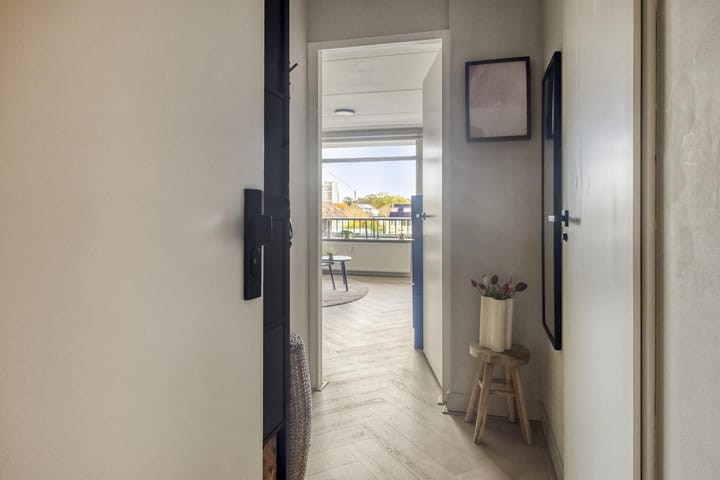 Foto 20 van Penningkruid 12