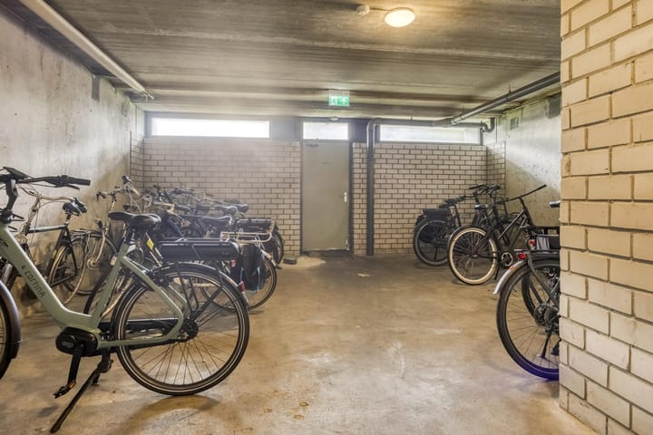 Foto 21 van Penningkruid 12