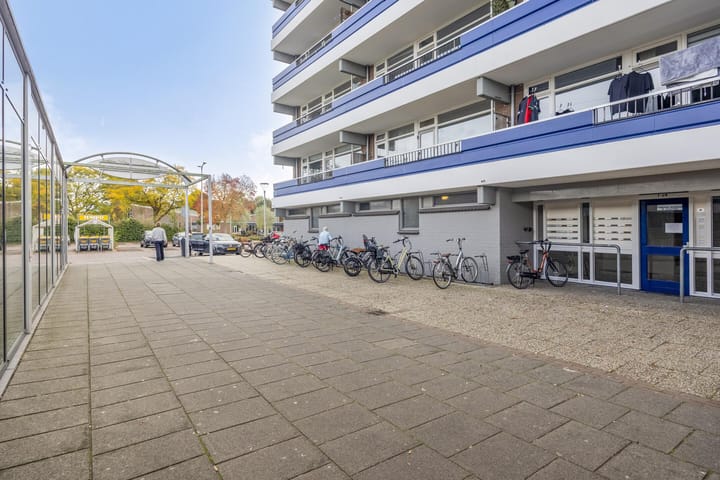 Foto 22 van Penningkruid 12