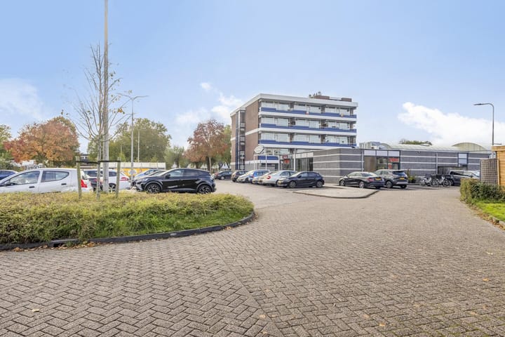 Foto 24 van Penningkruid 12