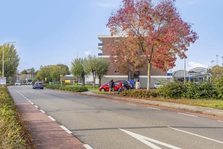 Foto 25 van Penningkruid 12