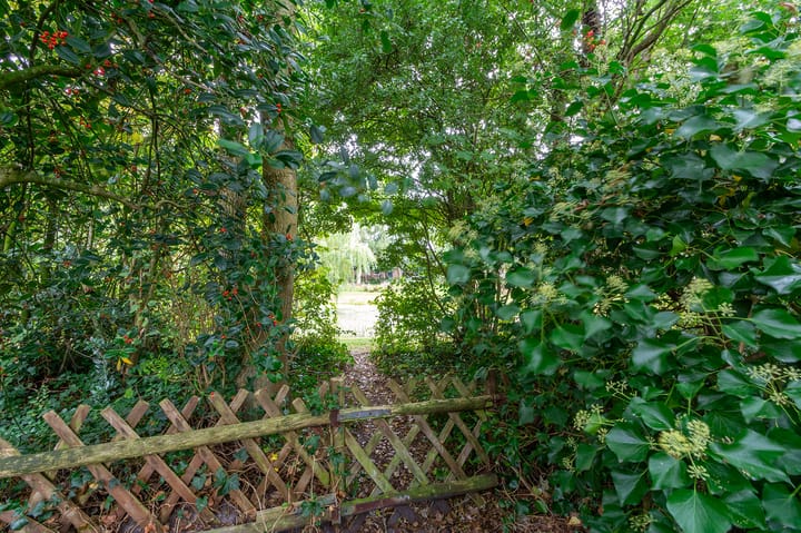 Foto 31 van Belkmerweg 68-H89