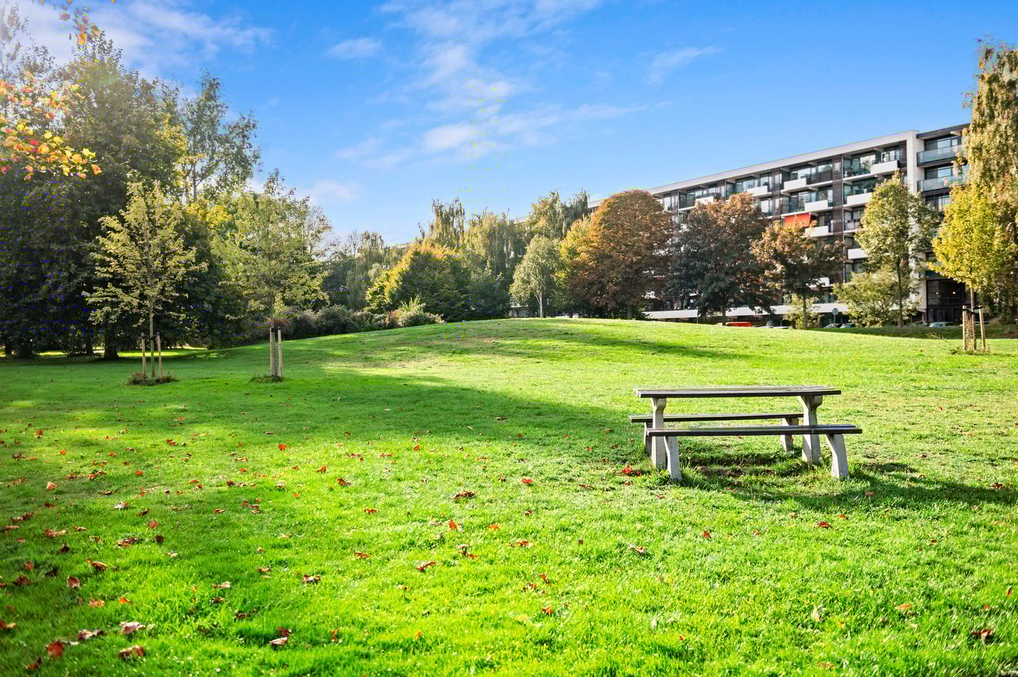 Foto 25 van Prins Frederiklaan 351