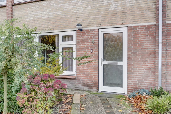 Photo 3 of Saturnus 4