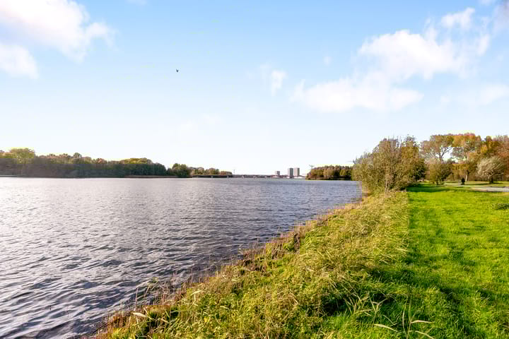 Foto 43 van Pasolinistraat 57