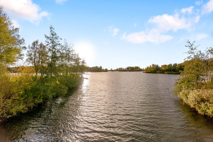 Foto 45 van Pasolinistraat 57