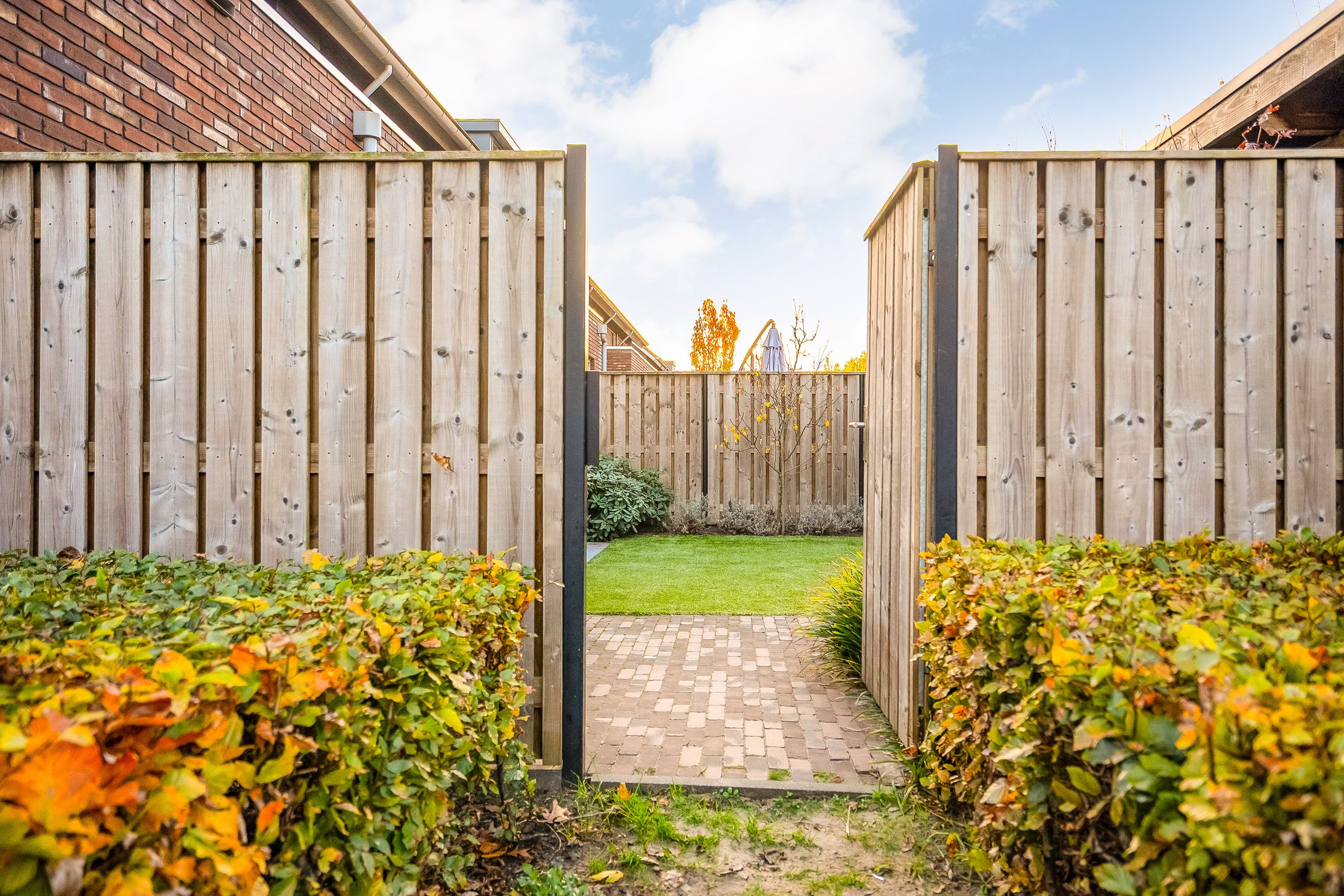 Photo 39 of Akkernoot 37