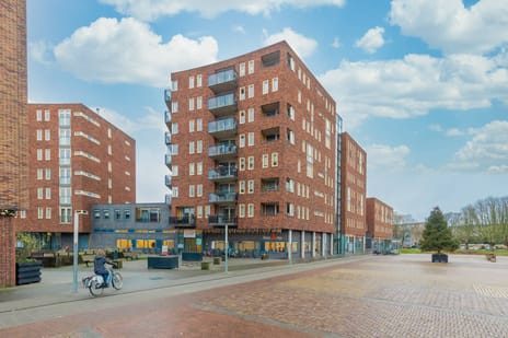 undefined main image