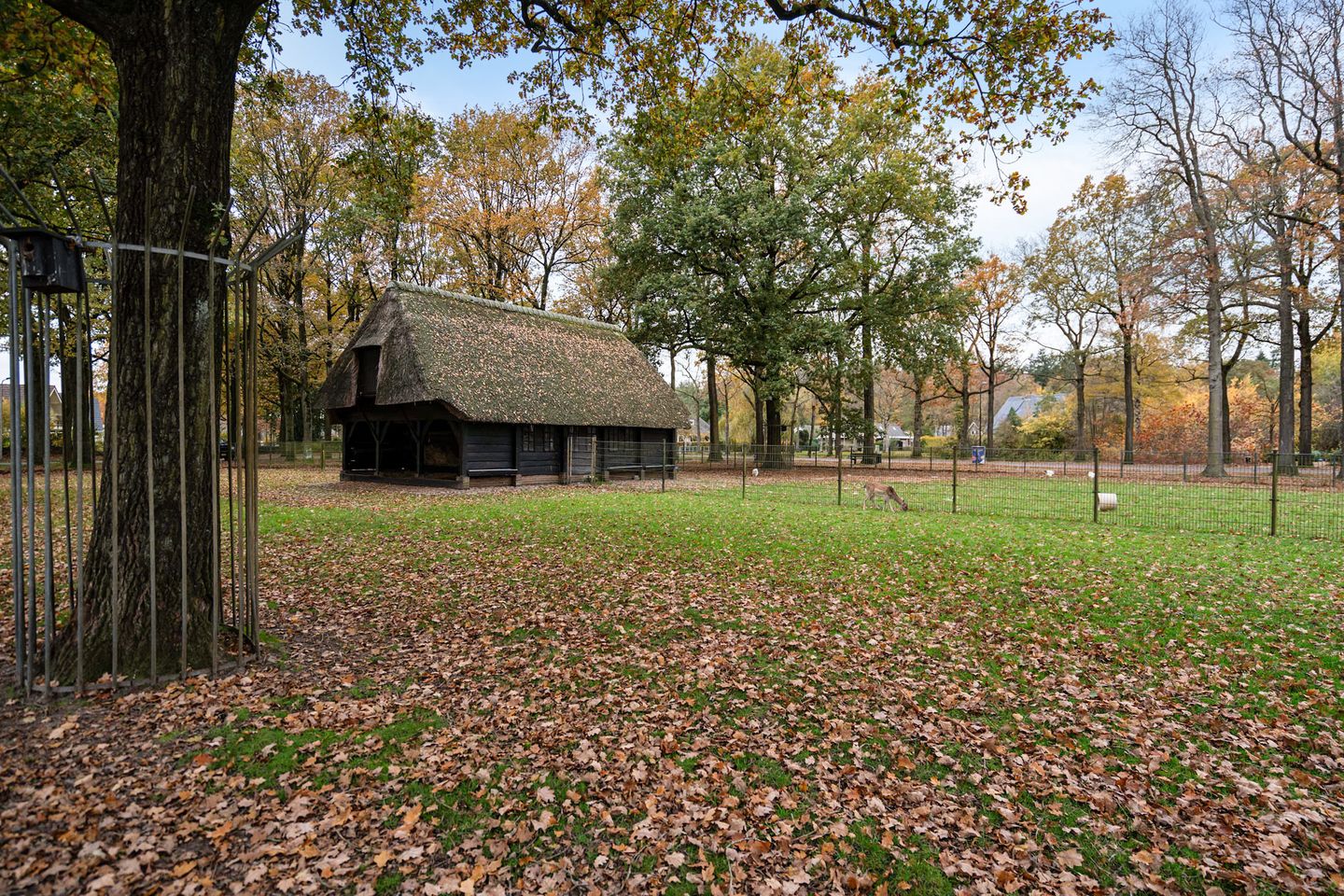 Foto 35 van Scheperskamp 3