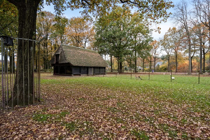 Photo 36 of Scheperskamp 3