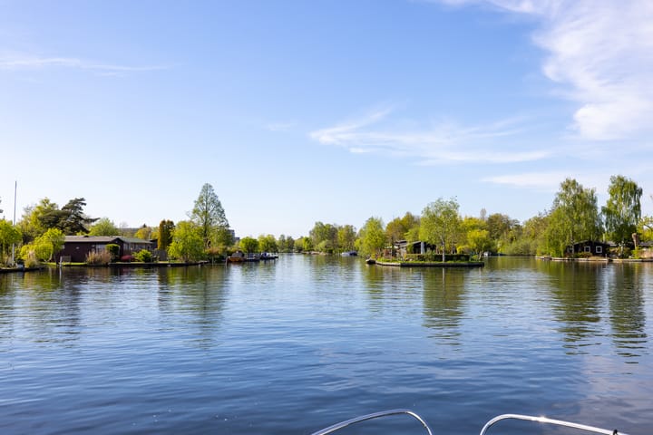 Foto 5 van Bergse Achterplas 298