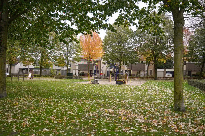 Foto 39 van Lavasveld 74