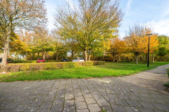 Photo 42 of Koraal 28