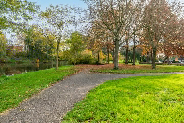 Photo 43 of Koraal 28