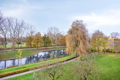 Meijhorst 3170 tertiary image