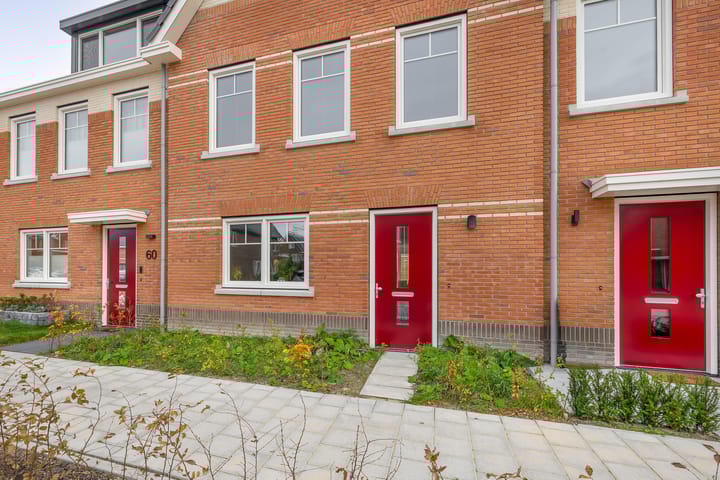 Photo 4 of Stokroos 58