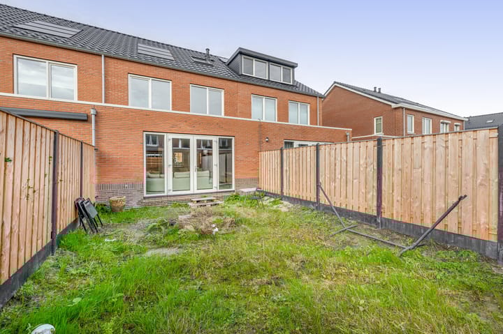 Photo 23 of Stokroos 58