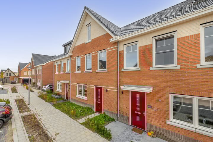 Photo 27 of Stokroos 58