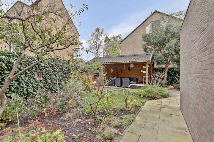 Foto 32 van Viool 33