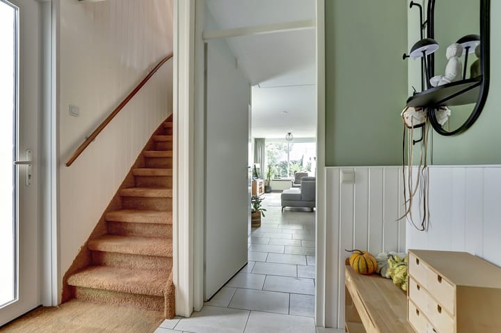 Foto 10 van Viool 33