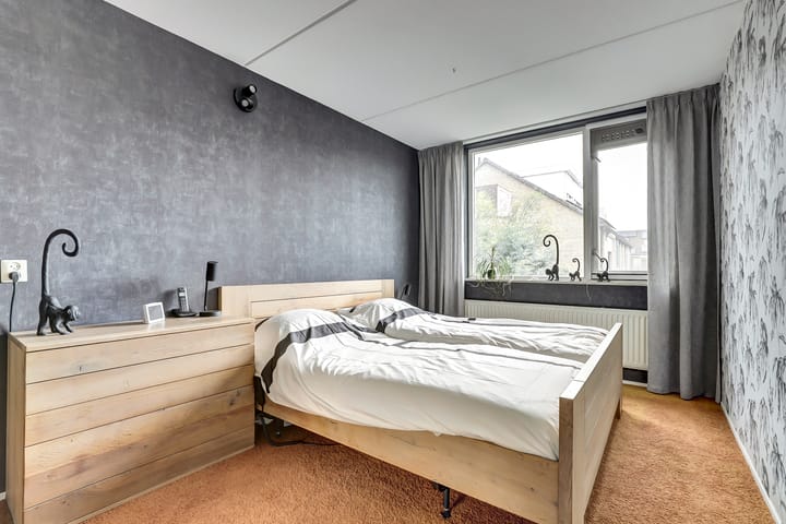 Foto 16 van Viool 33