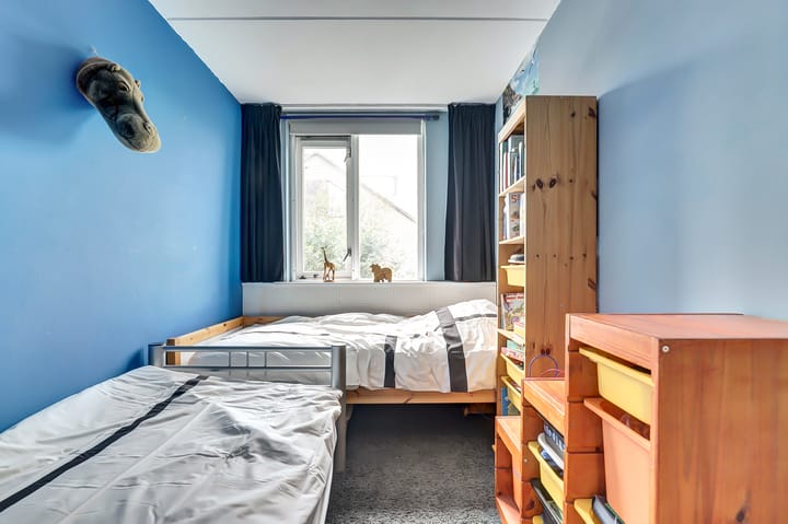 Foto 18 van Viool 33