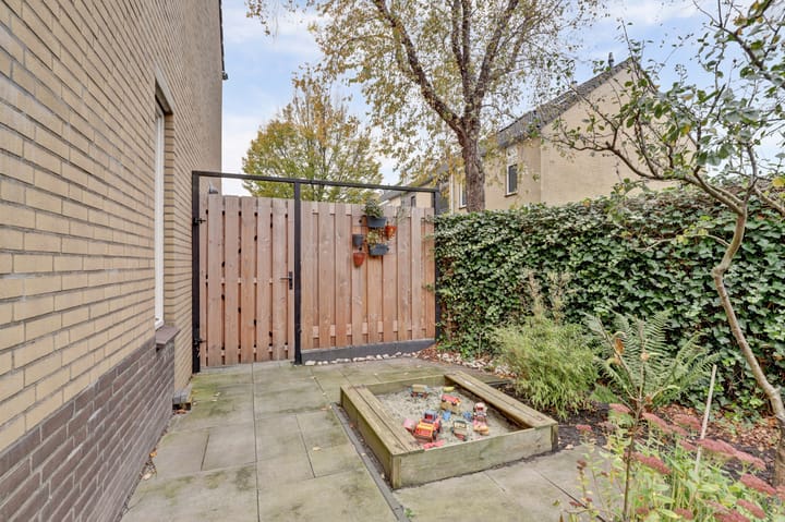 Foto 34 van Viool 33