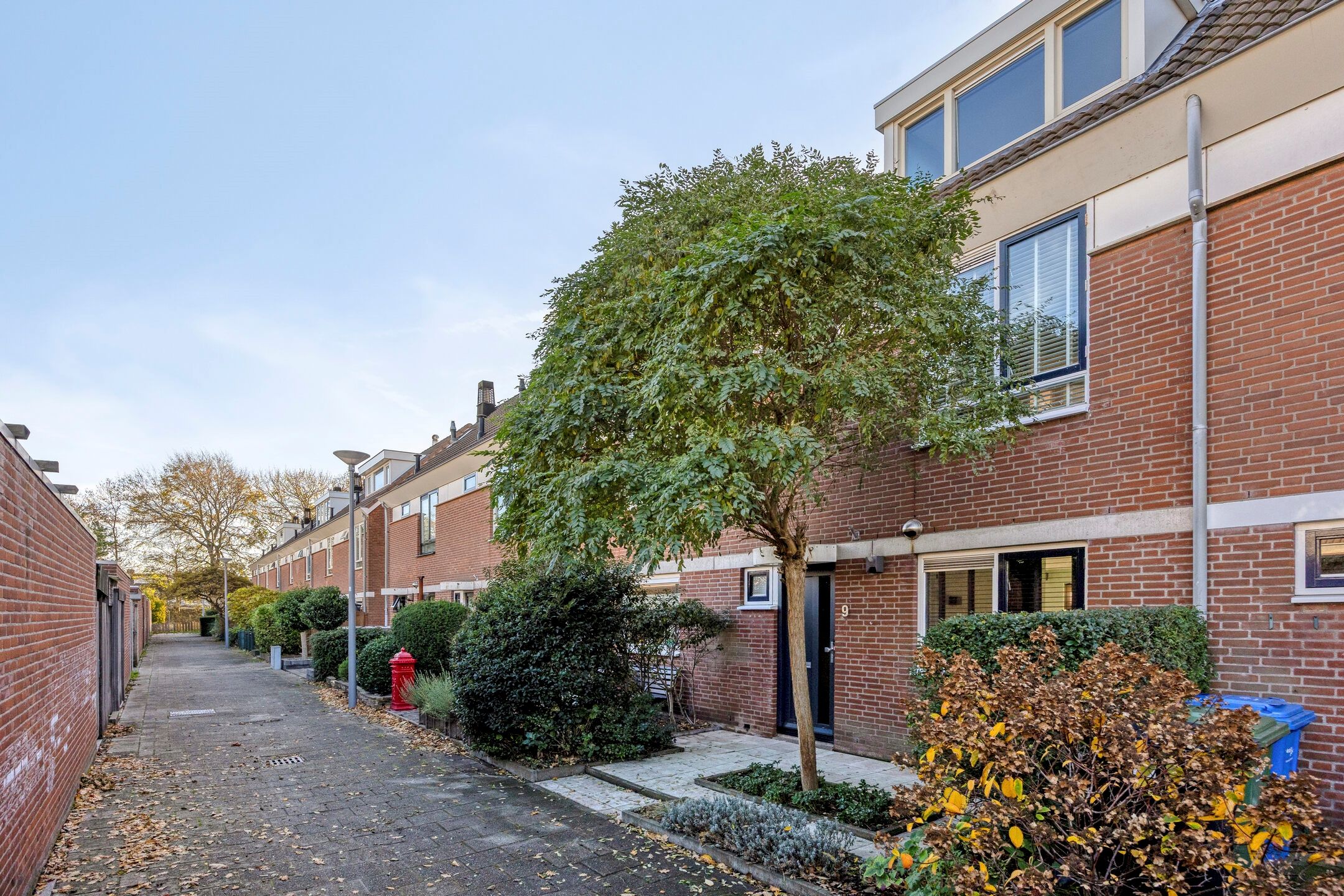 Foto 6 van Johannes Timmerspad 9