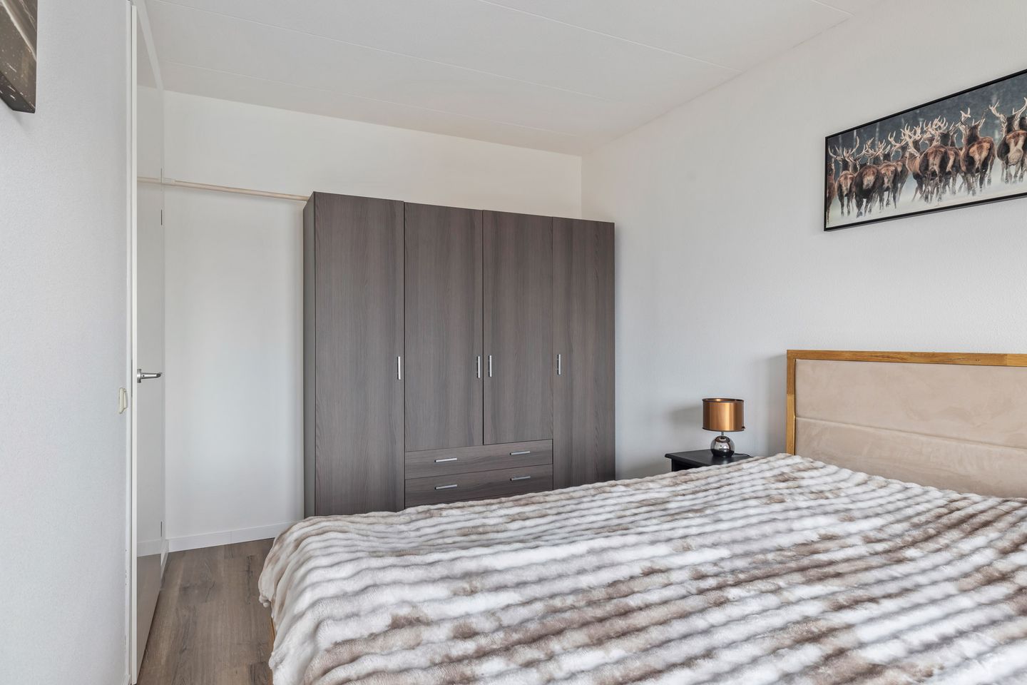 Foto 14 van Gebroeders Bonnemastrjitte 19