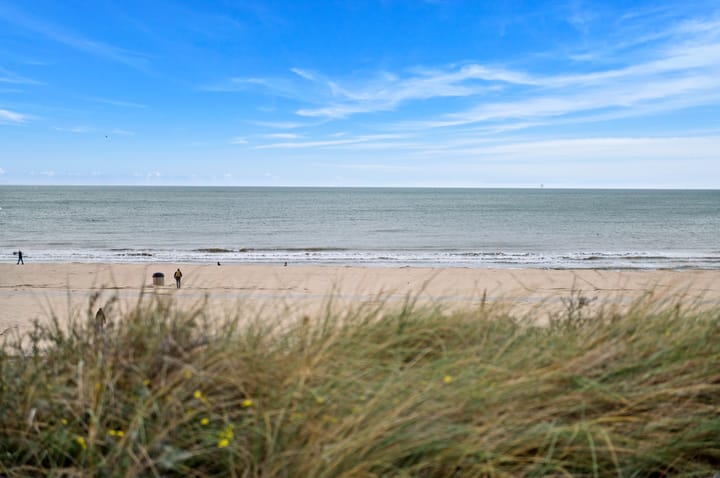 Foto 2 van Willem Beukelszoonplein 26