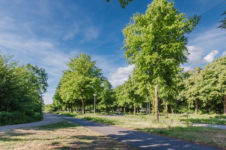 Foto 53 van Esdoornhof 2-B