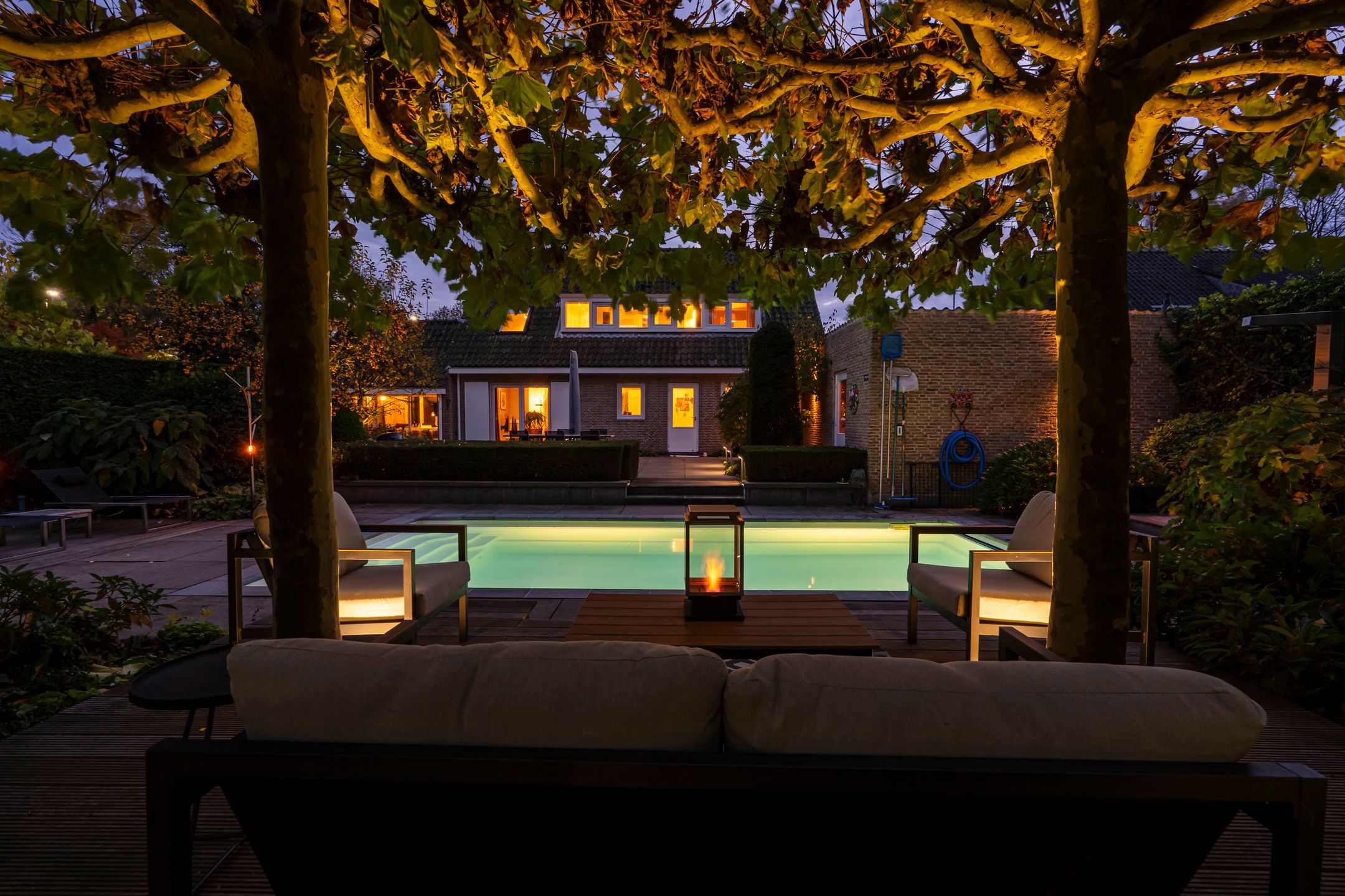 Foto 3 van Bas Dongen 7