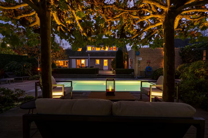 Photo 3 of Bas Dongen 7