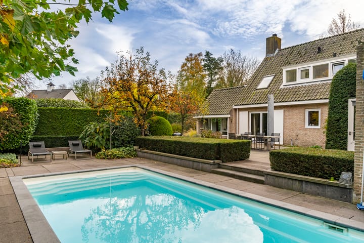 Photo 7 of Bas Dongen 7